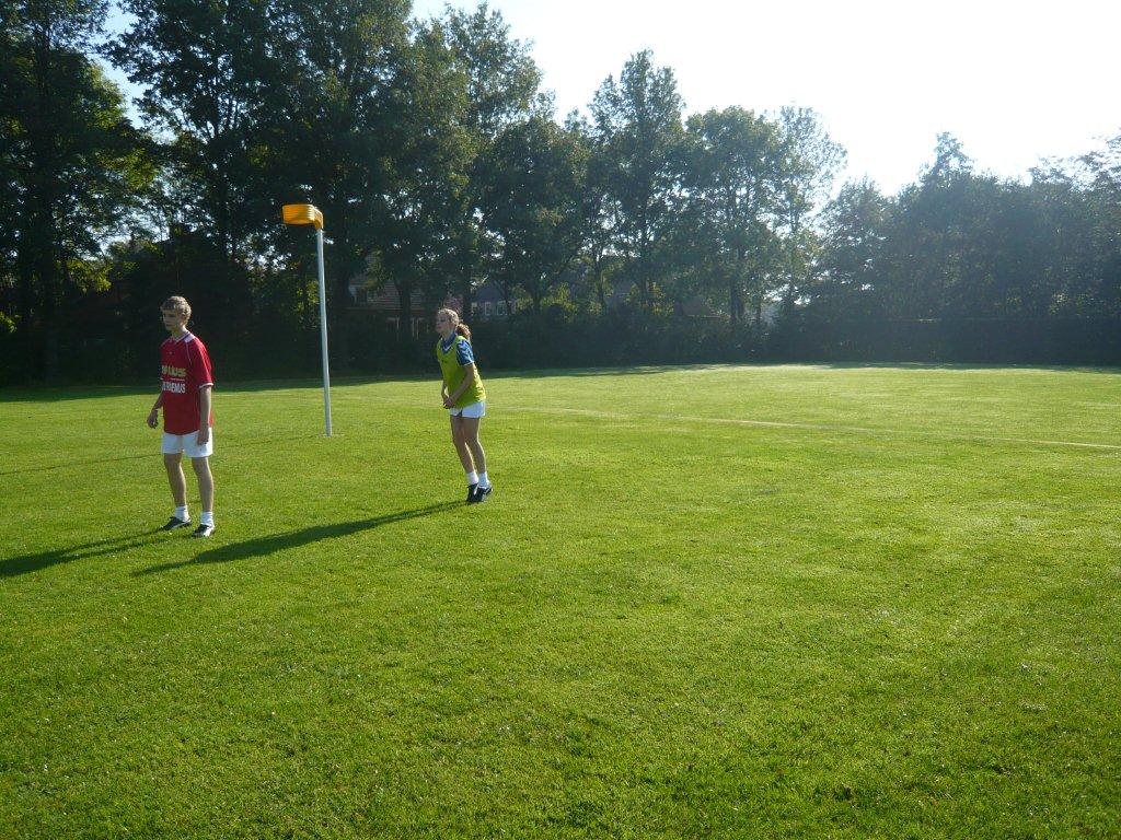 B3- Klimop 01-okt-2011 (12).jpg